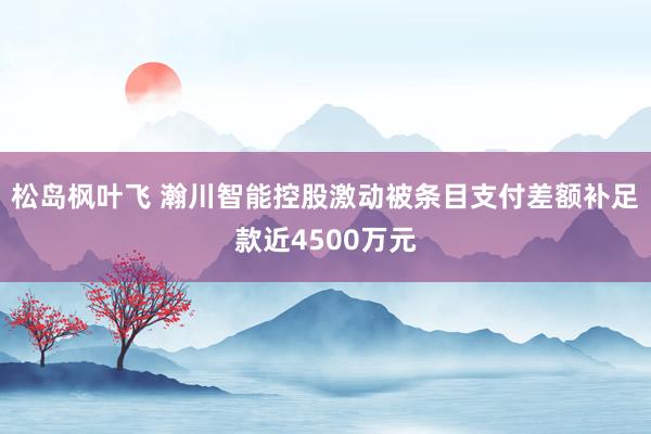 松岛枫叶飞 瀚川智能控股激动被条目支付差额补足款近4500万元