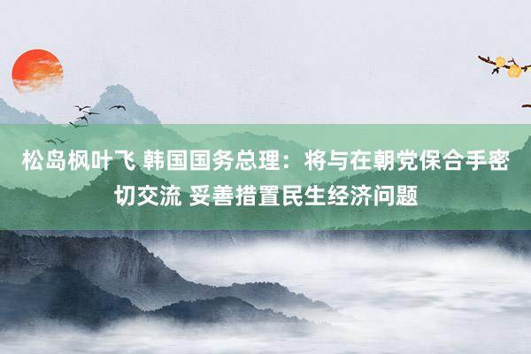 松岛枫叶飞 韩国国务总理：将与在朝党保合手密切交流 妥善措置民生经济问题