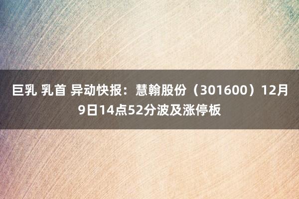 巨乳 乳首 异动快报：慧翰股份（301600）12月9日14点52分波及涨停板