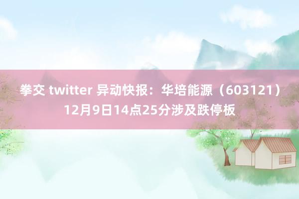 拳交 twitter 异动快报：华培能源（603121）12月9日14点25分涉及跌停板