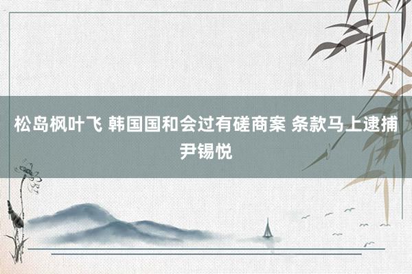 松岛枫叶飞 韩国国和会过有磋商案 条款马上逮捕尹锡悦