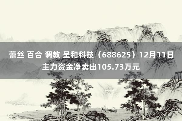 蕾丝 百合 调教 呈和科技（688625）12月11日主力资金净卖出105.73万元