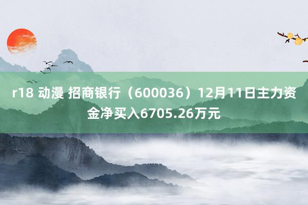 r18 动漫 招商银行（600036）12月11日主力资金净买入6705.26万元