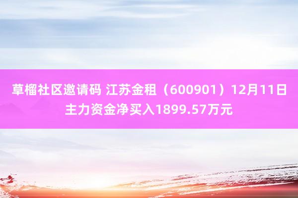 草榴社区邀请码 江苏金租（600901）12月11日主力资金净买入1899.57万元