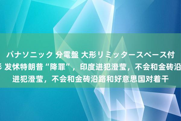 パナソニック 分電盤 大形リミッタースペース付 露出・半埋込両用形 发怵特朗普“降罪”，印度进犯澄莹，不会和金砖沿路和好意思国对着干