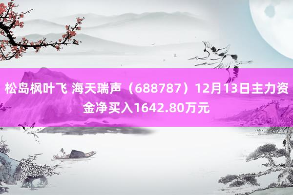 松岛枫叶飞 海天瑞声（688787）12月13日主力资金净买入1642.80万元