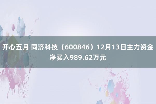 开心五月 同济科技（600846）12月13日主力资金净买入989.62万元