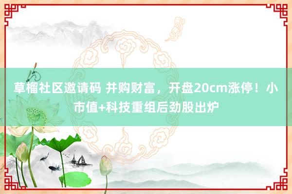 草榴社区邀请码 并购财富，开盘20cm涨停！小市值+科技重组后劲股出炉