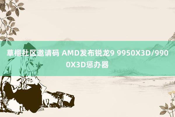 草榴社区邀请码 AMD发布锐龙9 9950X3D/9900X3D惩办器