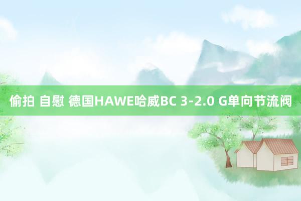 偷拍 自慰 德国HAWE哈威BC 3-2.0 G单向节流阀