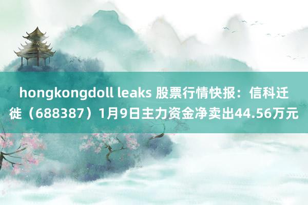 hongkongdoll leaks 股票行情快报：信科迁徙（688387）1月9日主力资金净卖出44.56万元