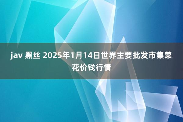 jav 黑丝 2025年1月14日世界主要批发市集菜花价钱行情