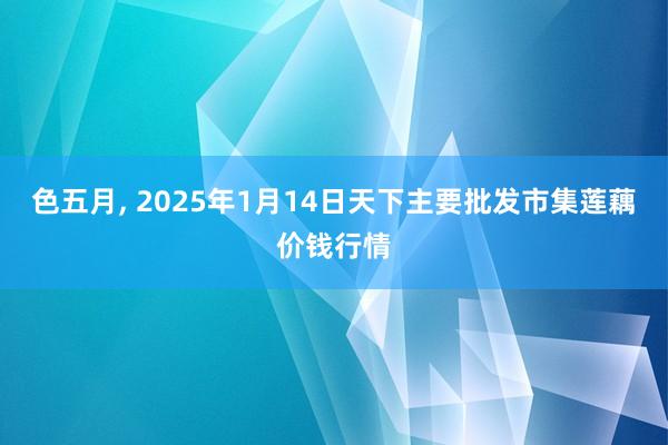 色五月， 2025年1月14日天下主要批发市集莲藕价钱行情