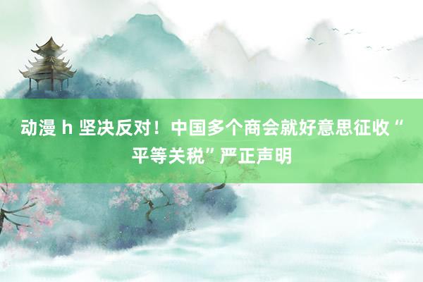 动漫 h 坚决反对！中国多个商会就好意思征收“平等关税”严正声明